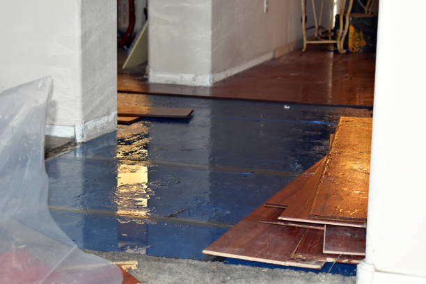 Professional Burst Pipe Cleanup technician working in Waynesville, NC