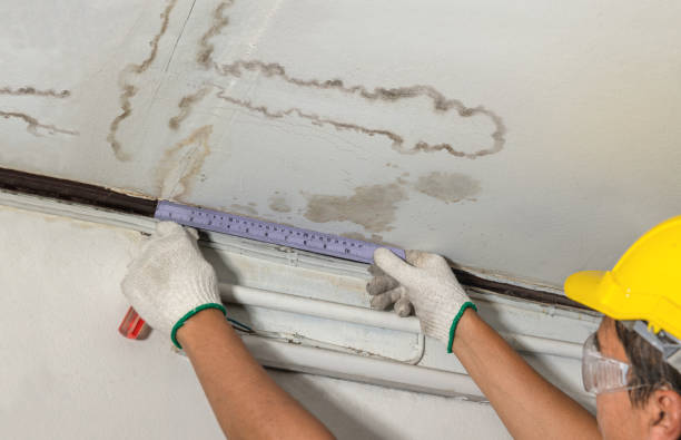 Reliable Burst Pipe Cleanup contractor in Waynesville, NC by Local Water Damage Repair